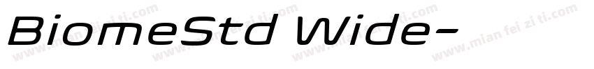 BiomeStd Wide字体转换